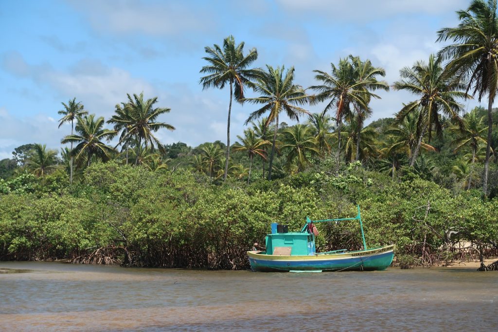 Bahia is a newer producing area of Brazil