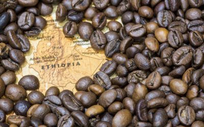 How does Ethiopia produce such fantastic coffee?